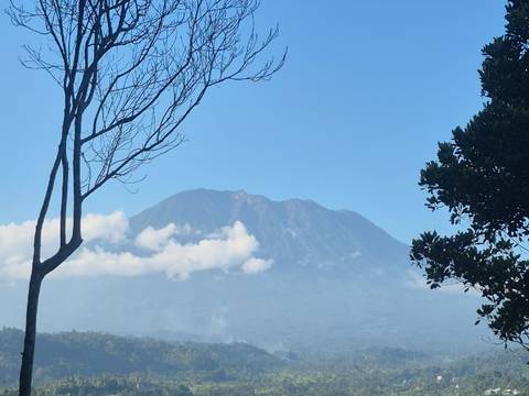 Mount Agung rising above the treeline on a clear morning, seen from the Sidemen valley.