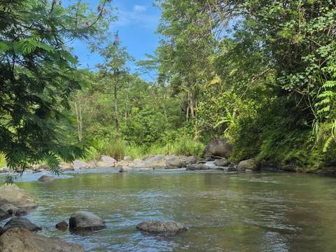 The Unda river running clear over boulders between jungle banks in the Sidemen valley.