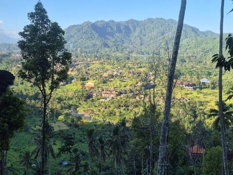 A view over the Sidemen valley from a ridge, with rice terraces and palms falling away below.