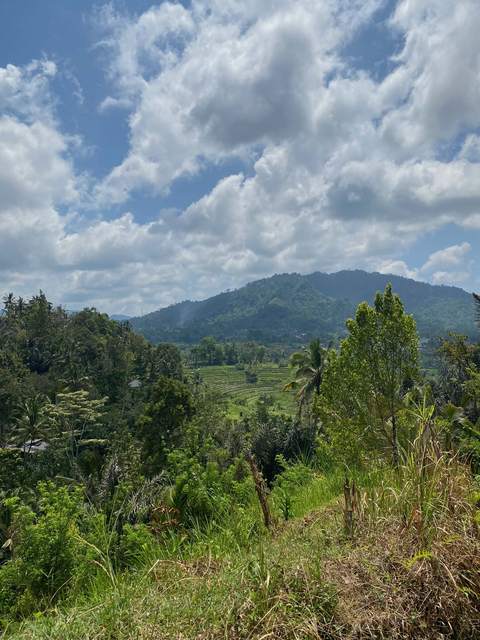 Terraced rice fields stepping down a hillside in Sidemen, with palms and a forested ridge behind.