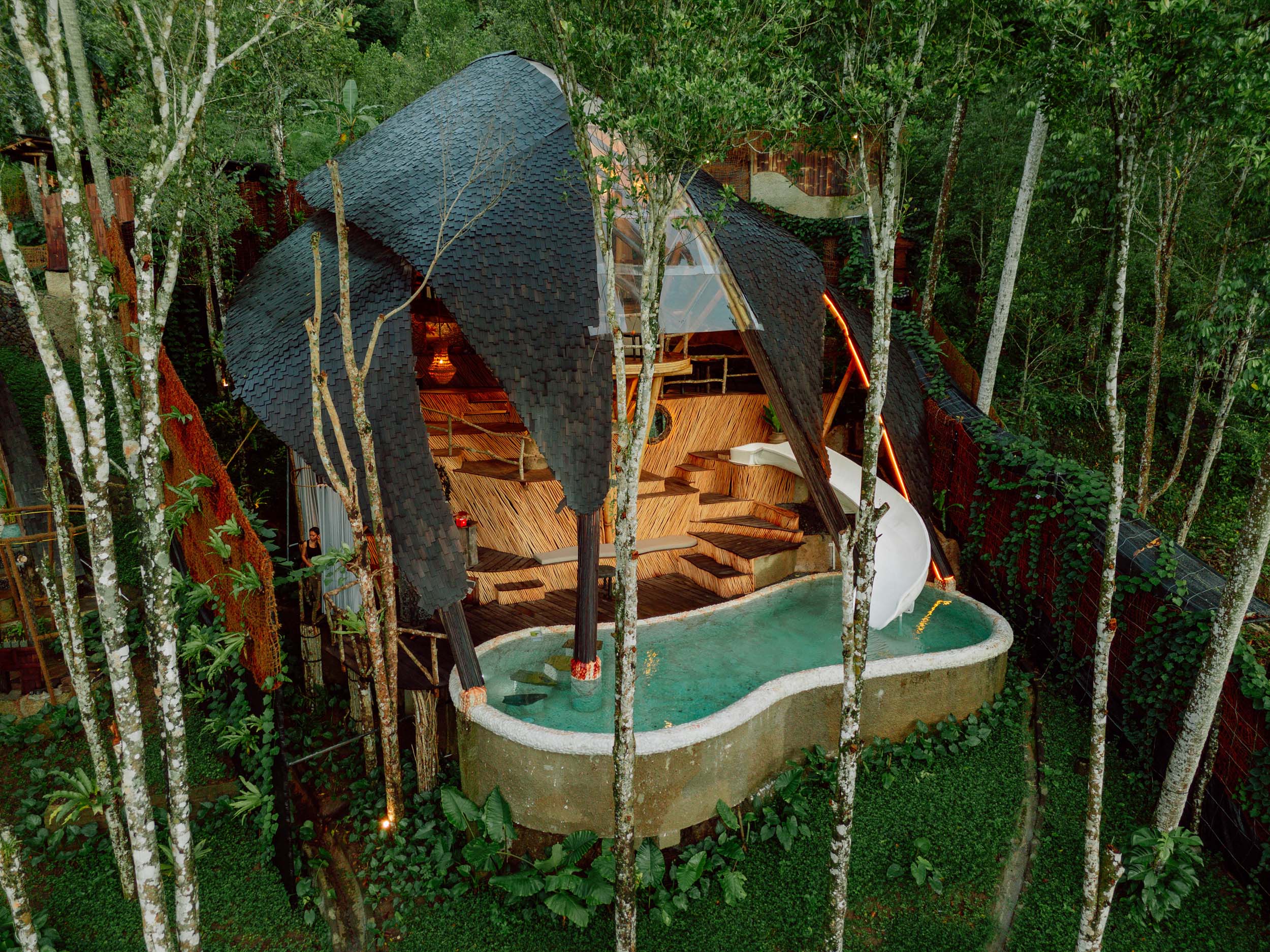 Squid House, photo 1
