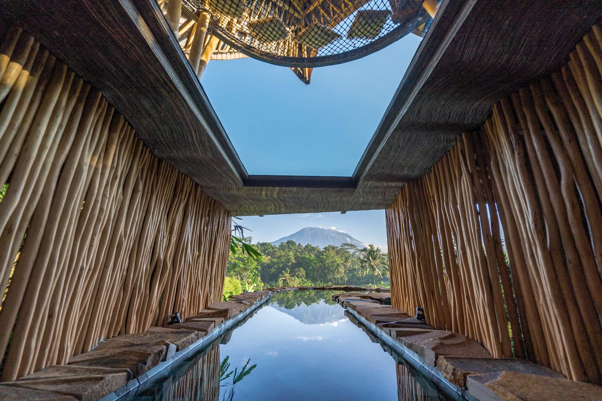 Cobra House, photo 4